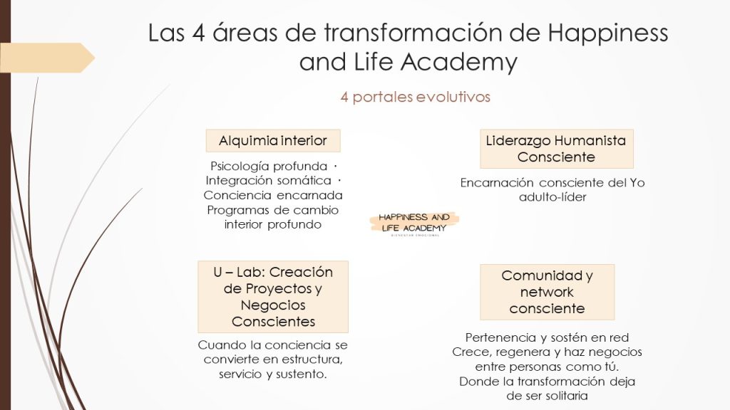las 4 áreas de transformación En HALA